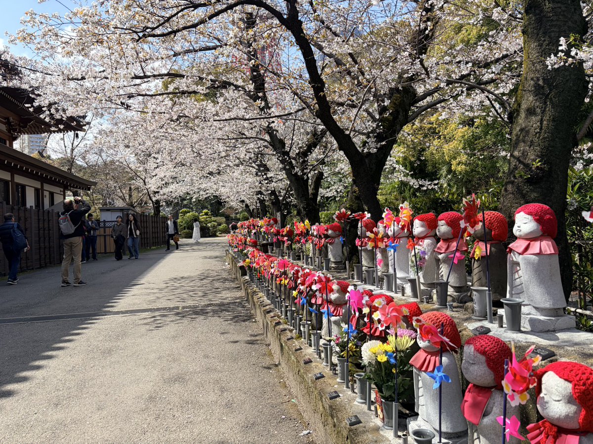 ふじちょ tweet media