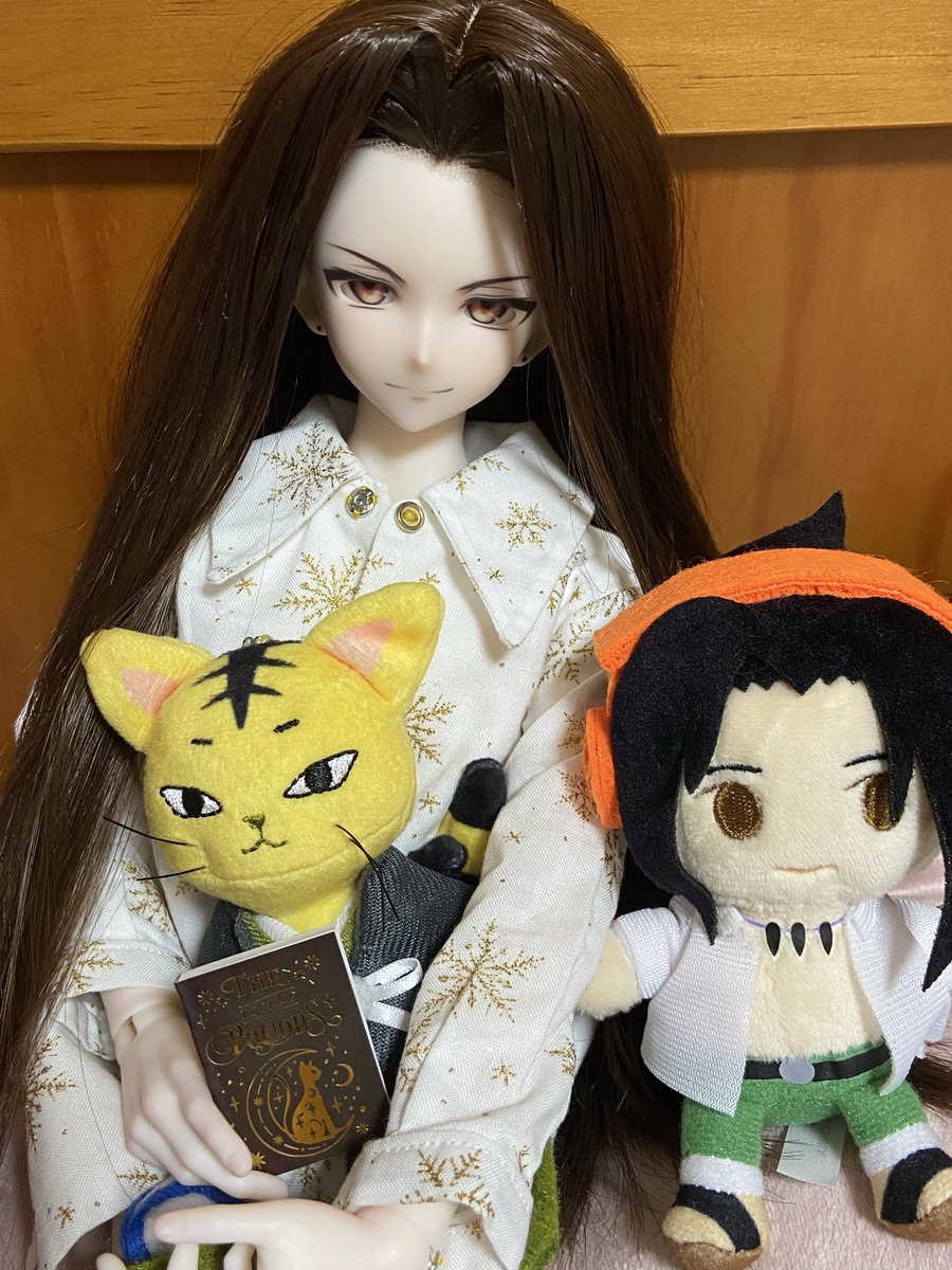 maiko ドール垢 tweet media