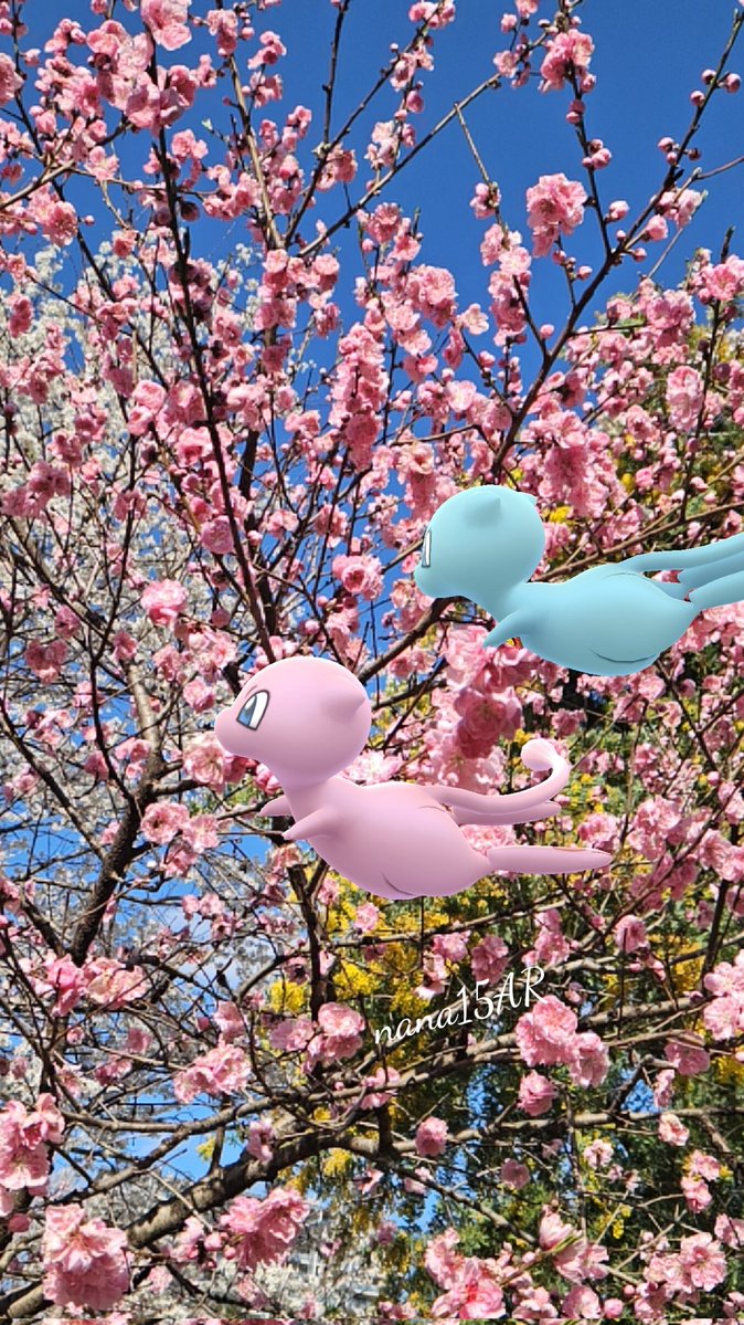 🦔nana🍒🍀🦔🍀🍒 tweet media