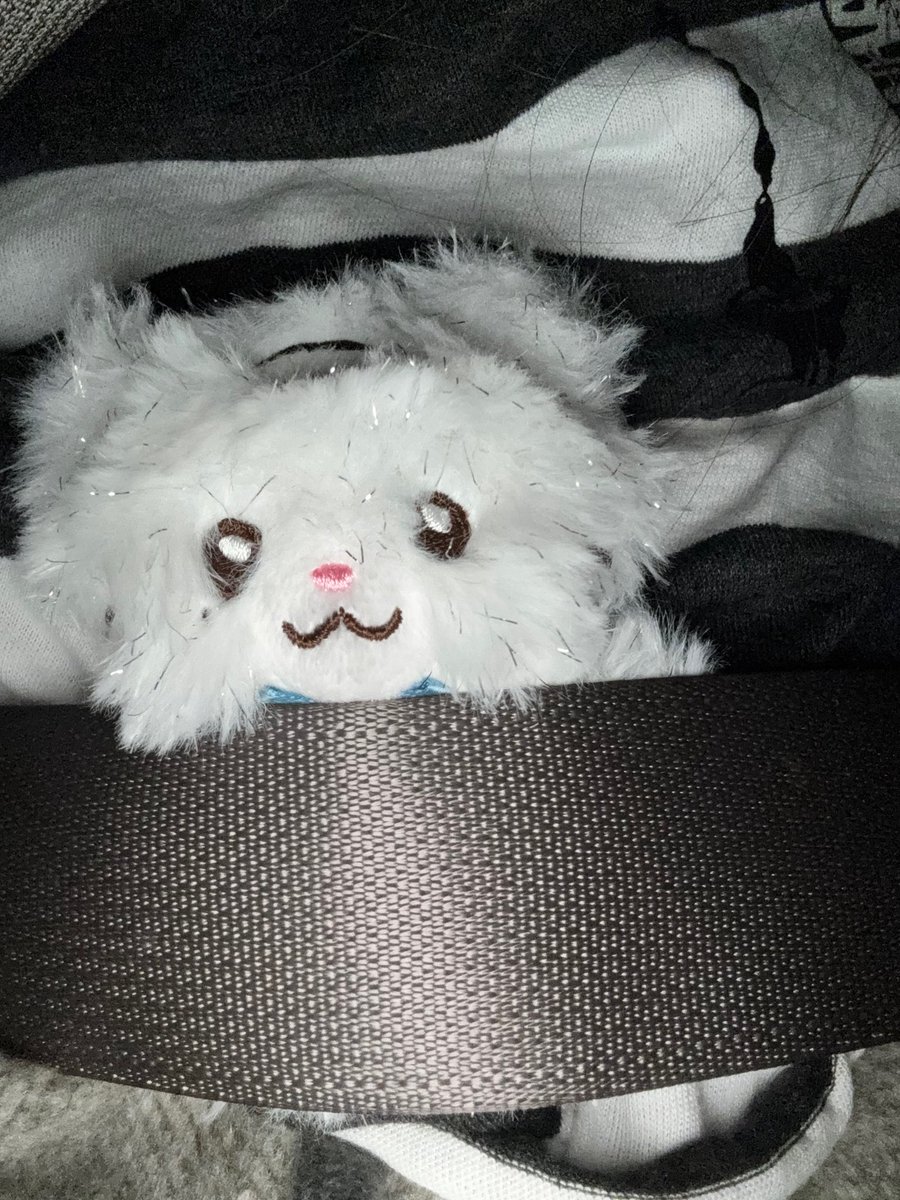 ILLIT WEVERSE tweet media