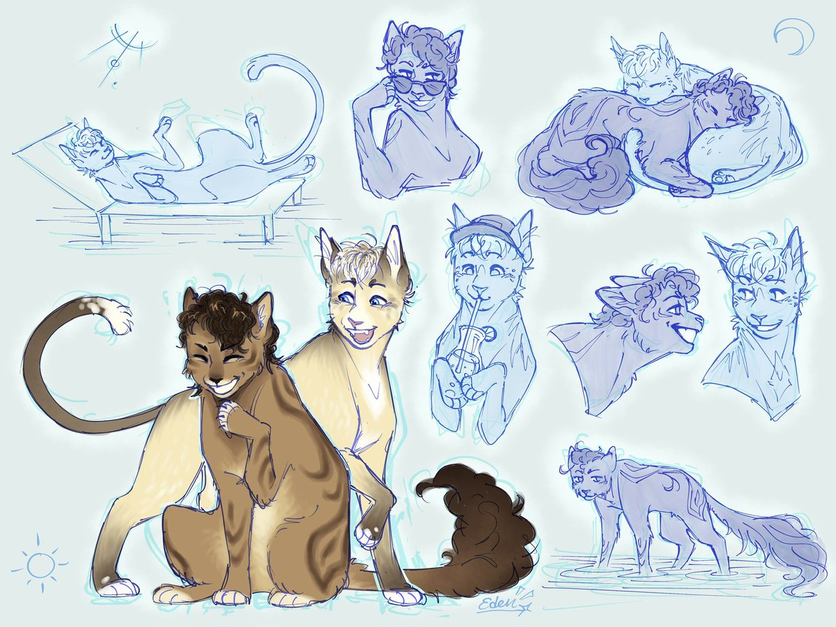 Eden !! ✧~ tweet media