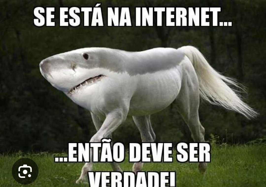 FORA PETRAGLIA tweet media