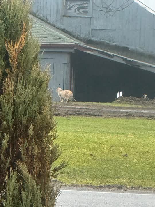 A Gene Robinson tweet media