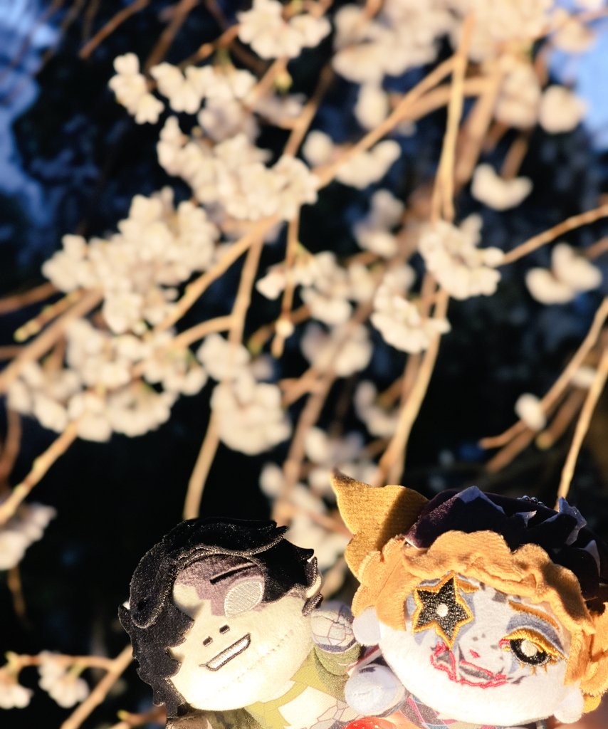 どろし🪩 tweet media