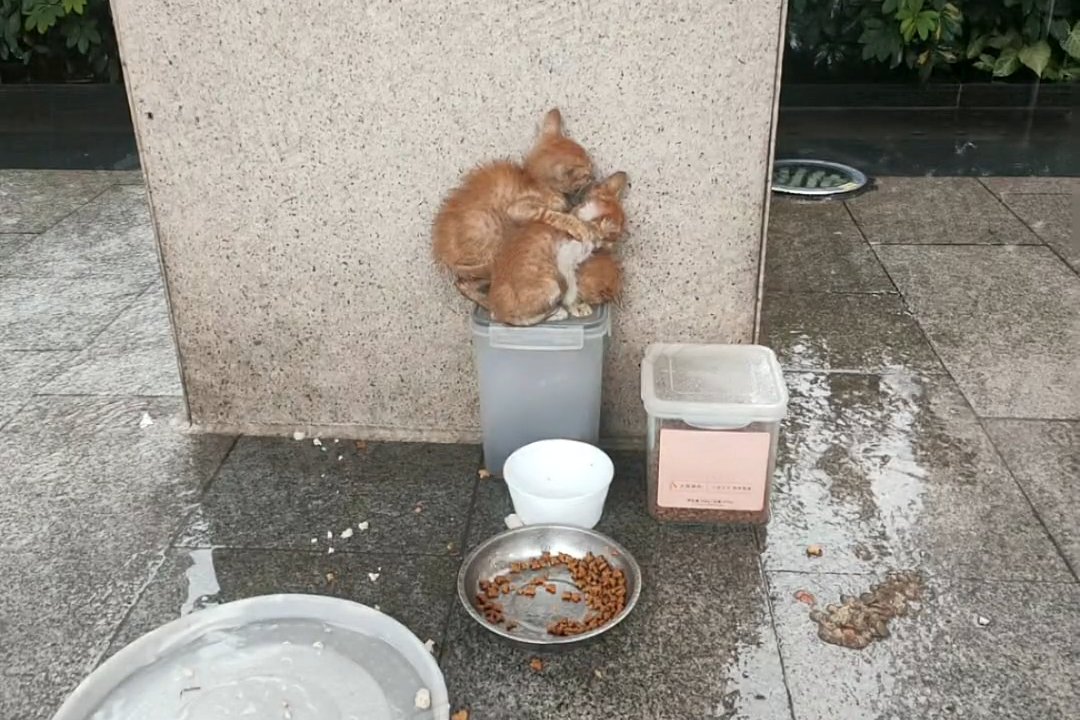 Jo Broughton tweet media