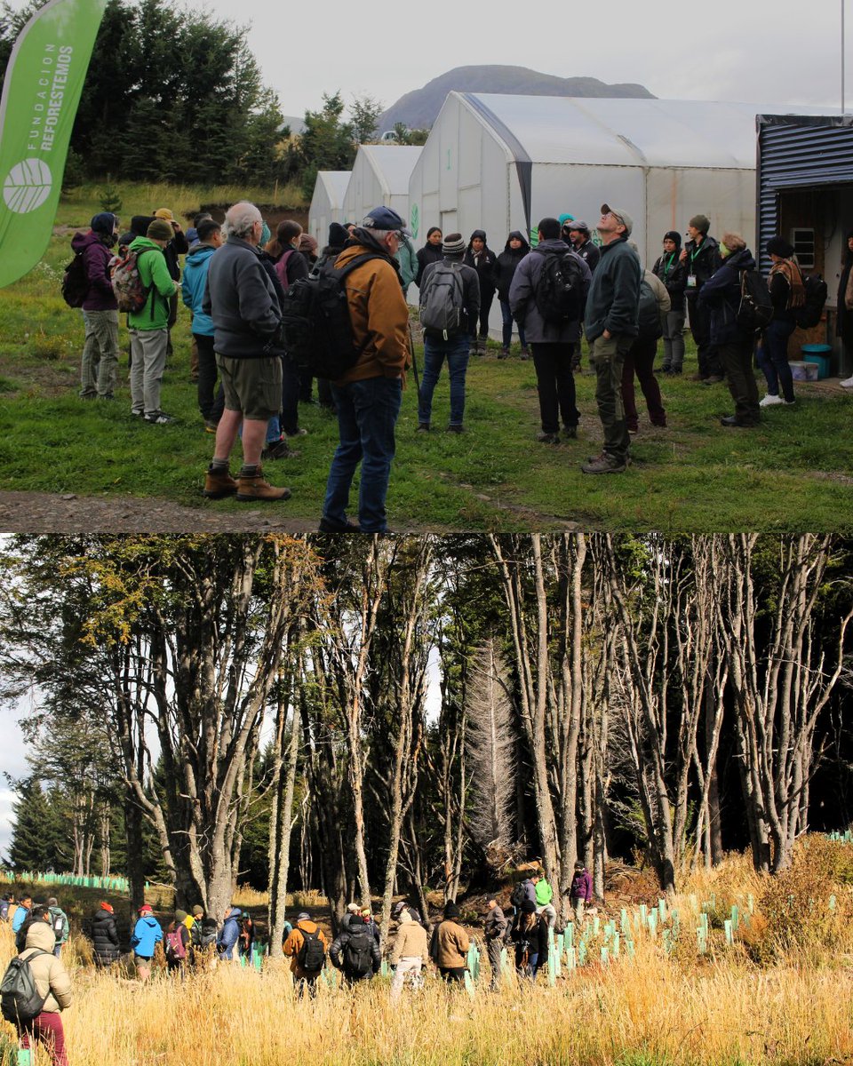 Fundación Reforestemos tweet media