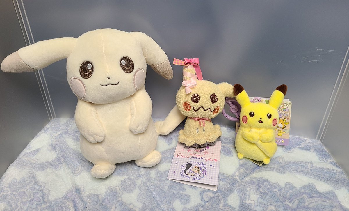 ちゃあの主 tweet media