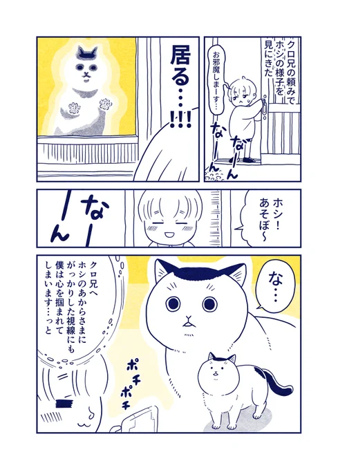 お出迎えするタイプの猫 
