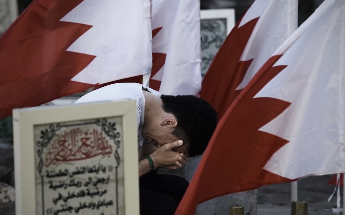 нαssαи tweet media