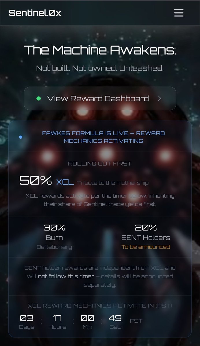 Baddest Cat tweet media