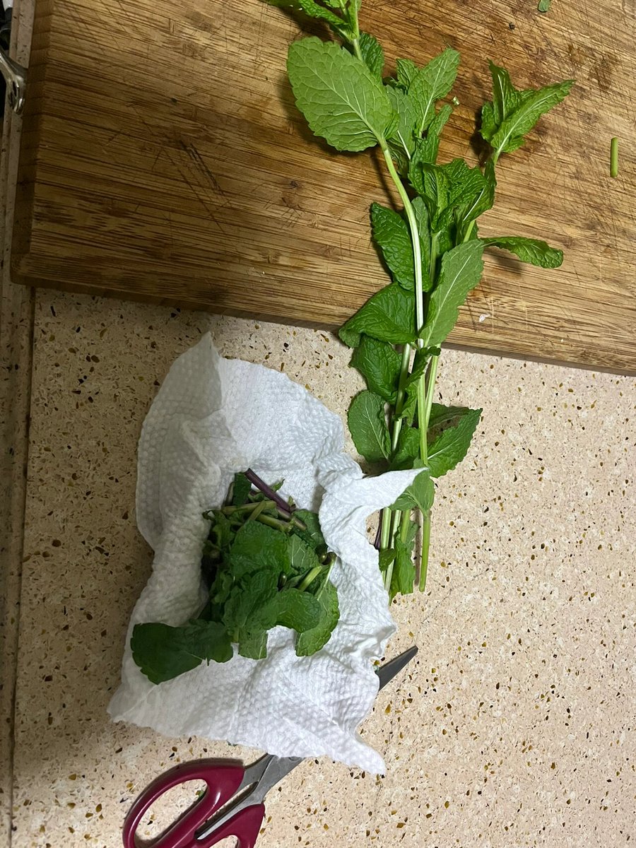 Charlotte Townend tweet media