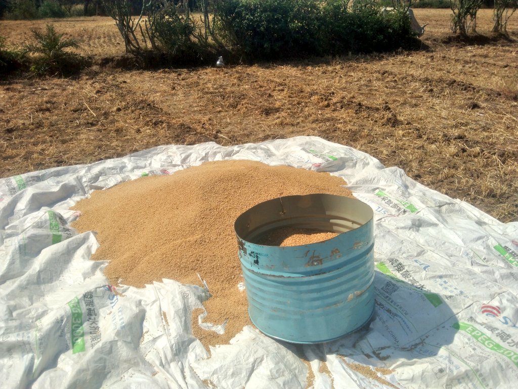 Bella🌸 tweet media