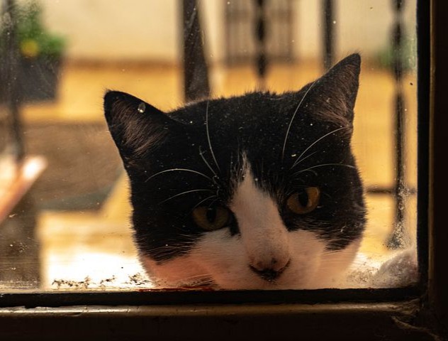 まなまな tweet media