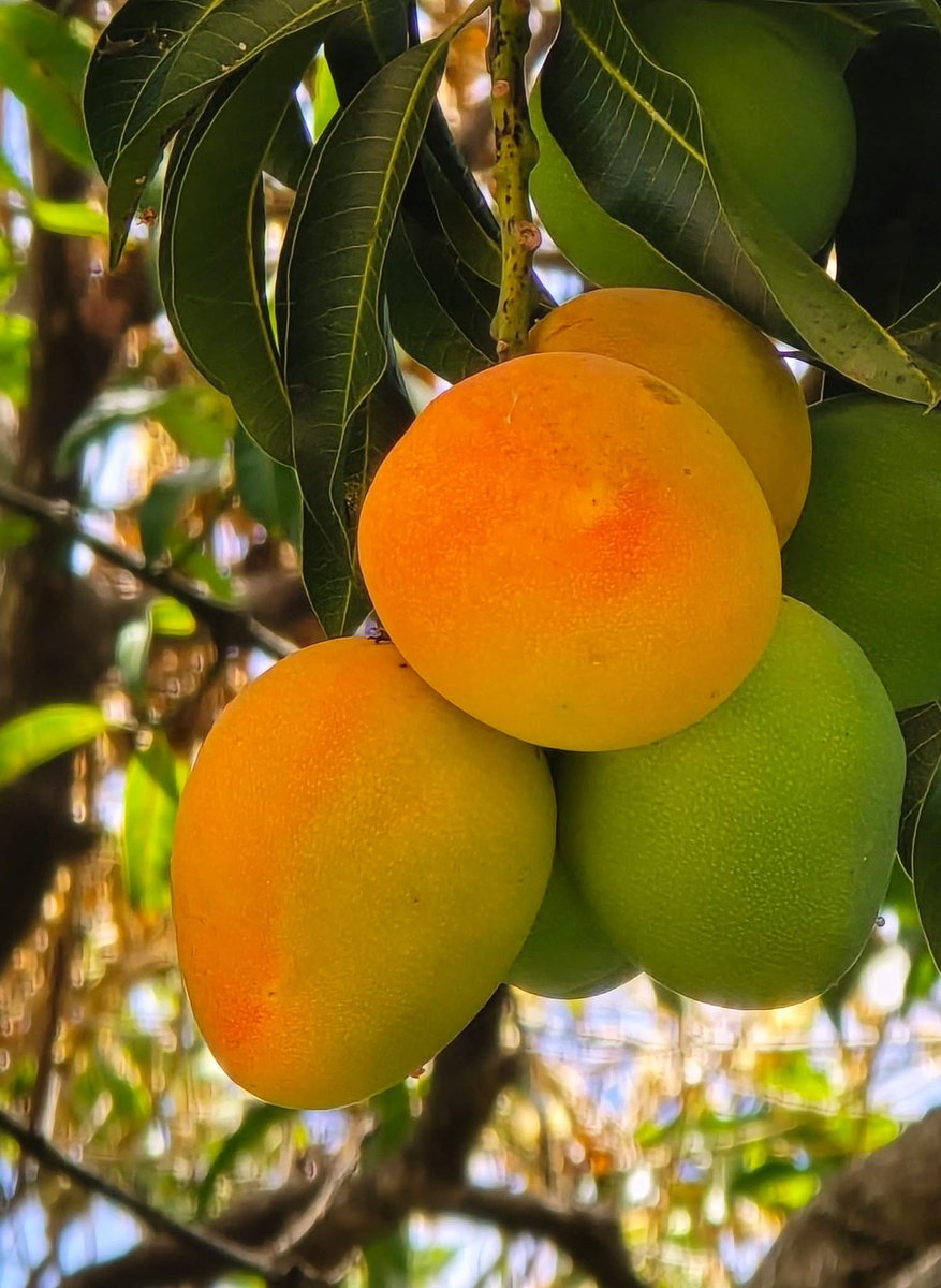 Silvia..🇸🇻💙 tweet media