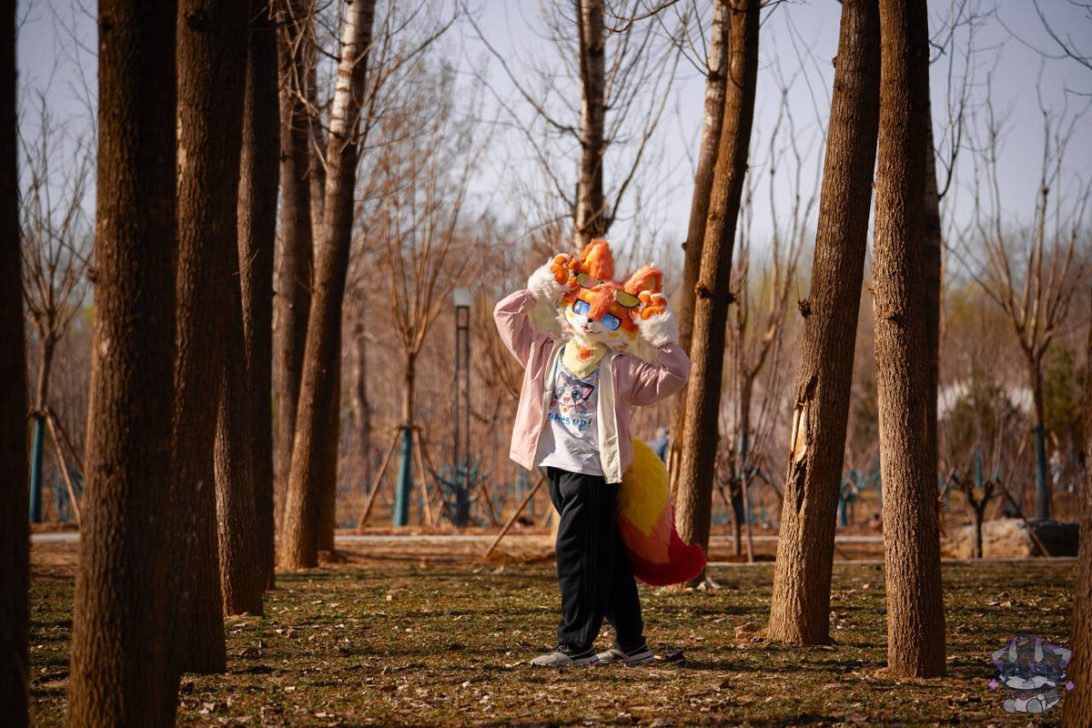 Ceason夕炽 tweet media