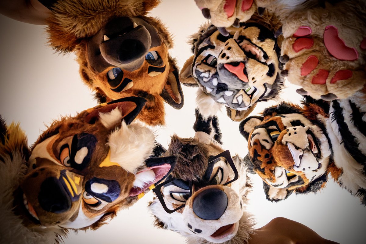 Zephyr🔜 Thaitails🇹🇭 tweet media