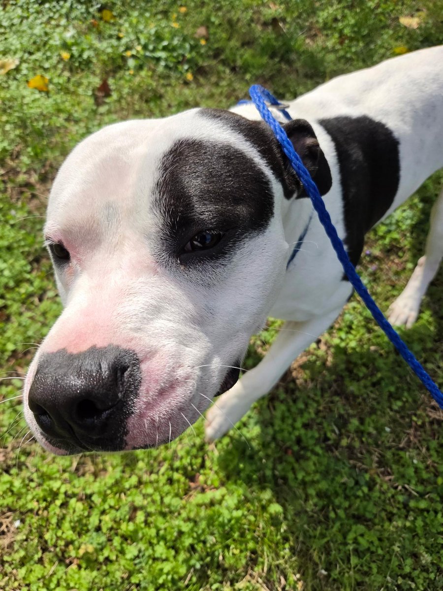 Donna Lac tweet media