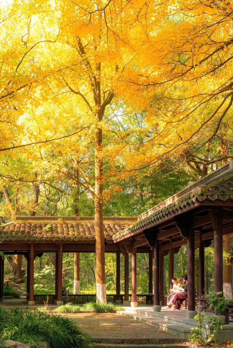 Imteyaz Allam tweet media