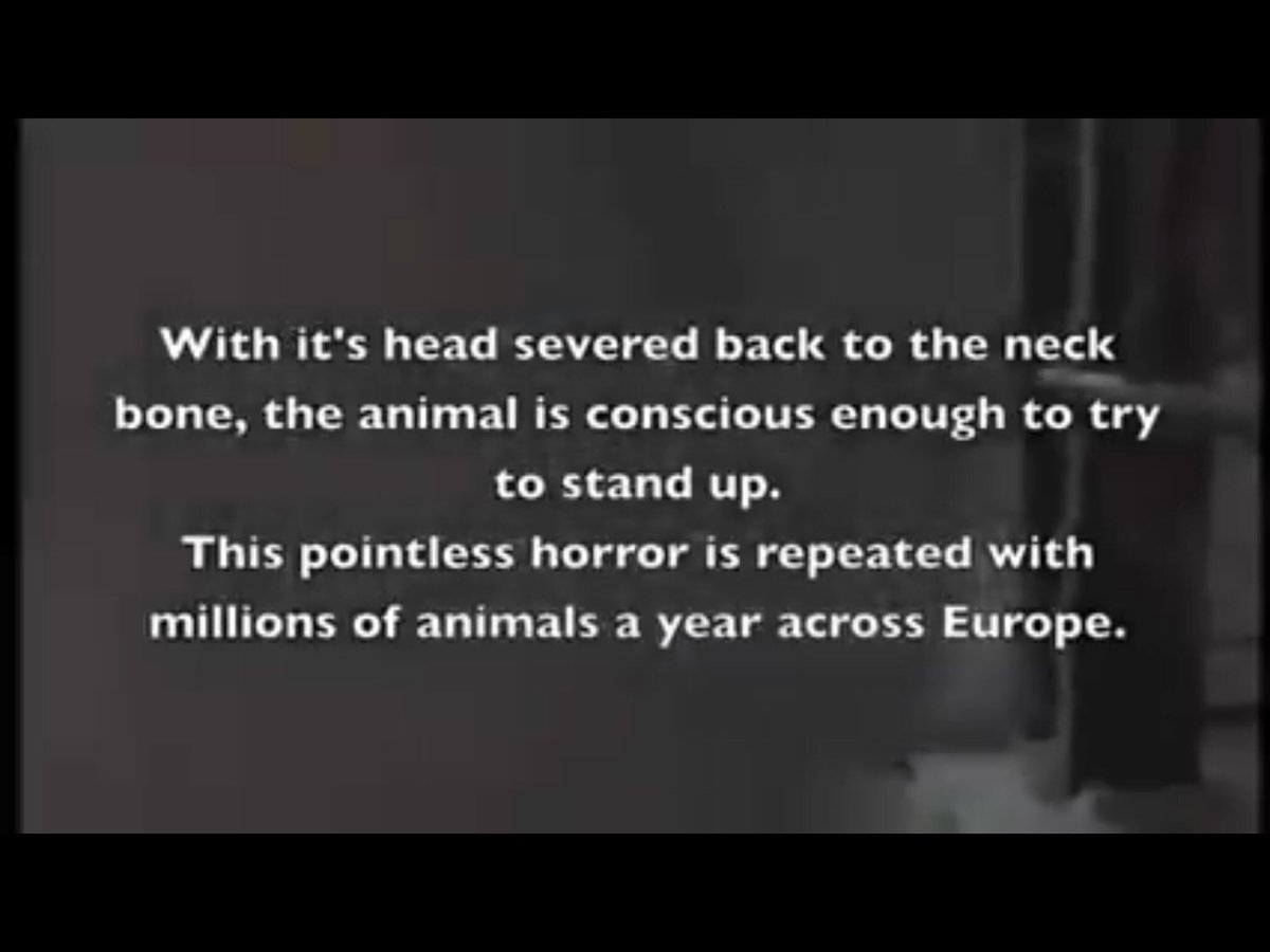 WinstonaSmith1984 tweet media