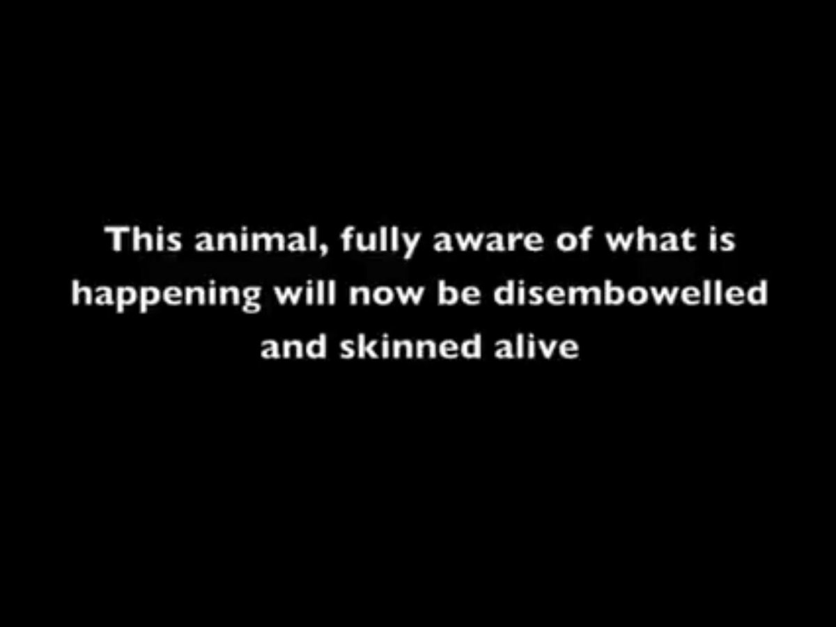 WinstonaSmith1984 tweet media