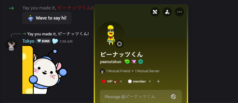 Shiroko Raccz tweet media