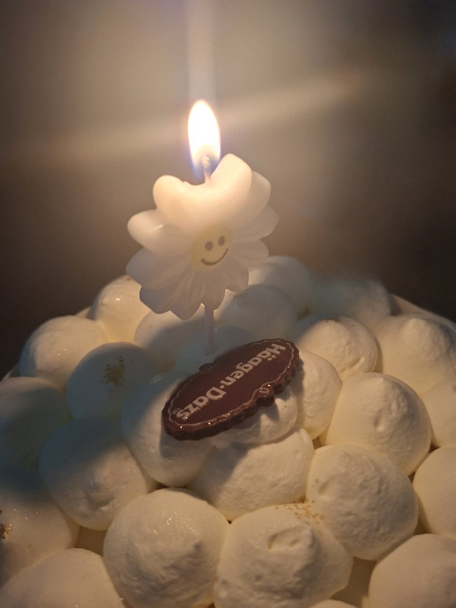 매생이🪸 tweet media