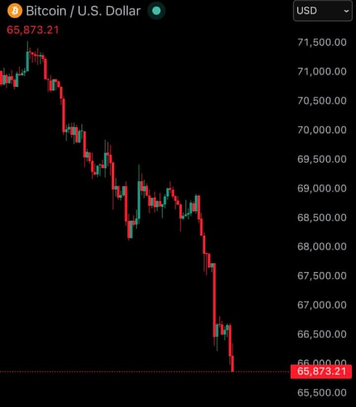 Kendo🔖 tweet media