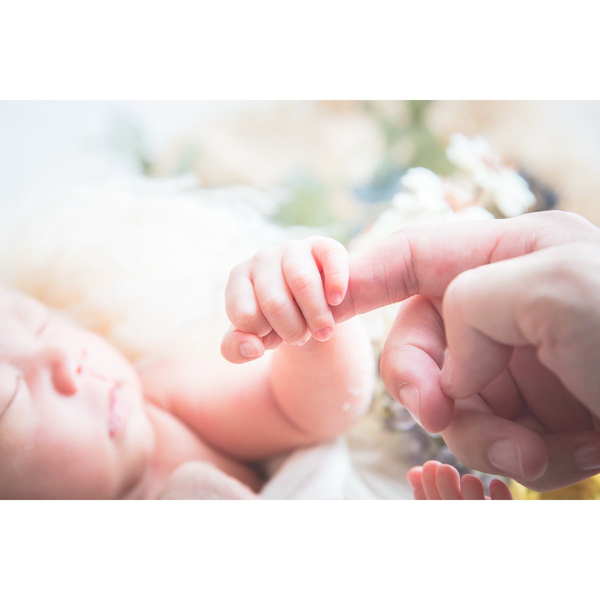 みき けいこ〈広島の出張撮影カメラマン〉 tweet media