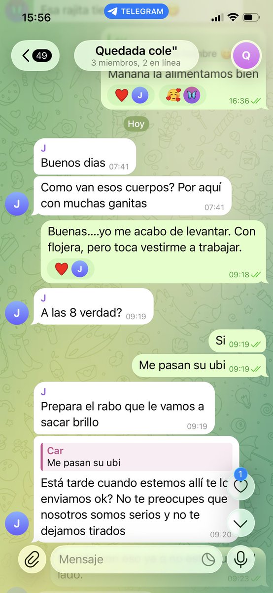 Chavobravosw tweet media
