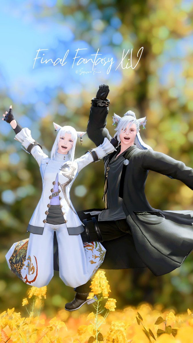 𝑂𝑡𝑎𝑒 tweet media