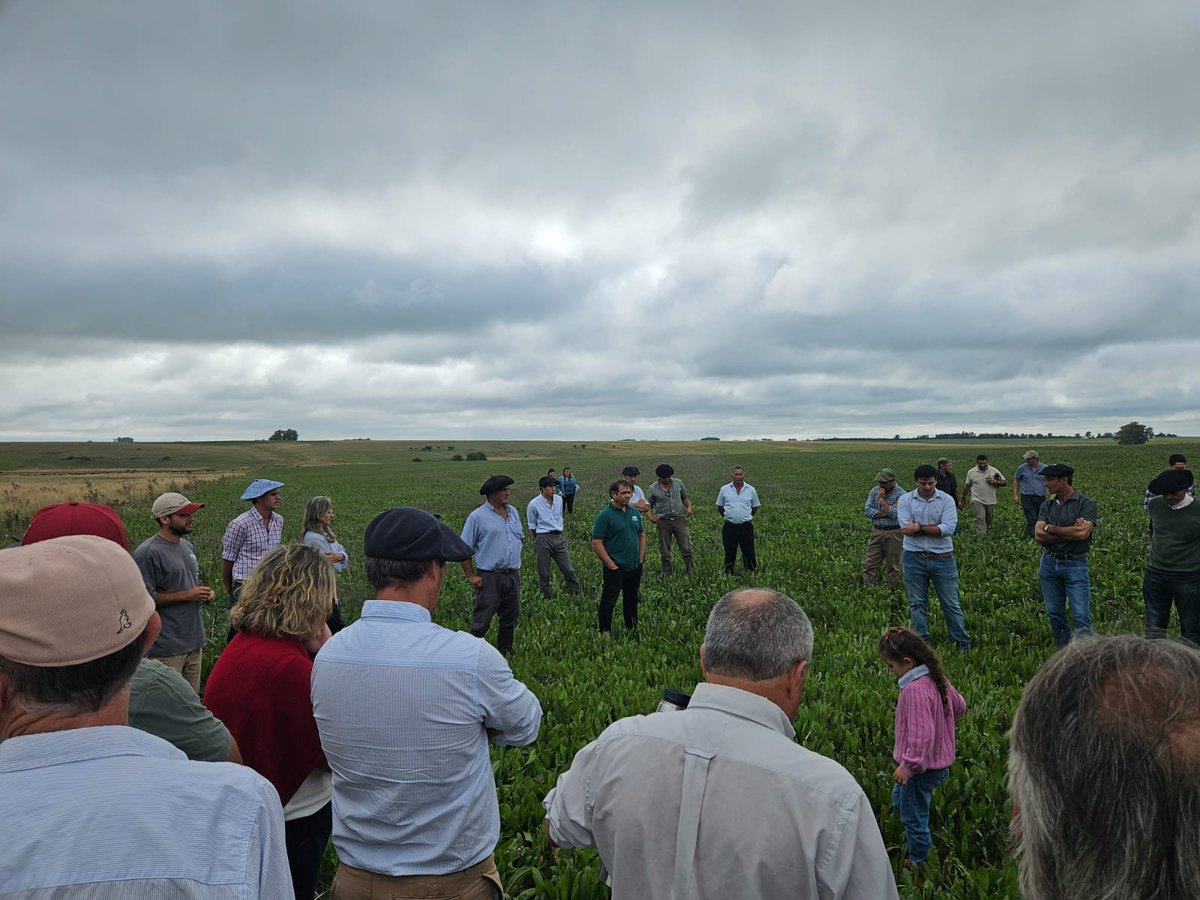 Daniel Berti tweet media