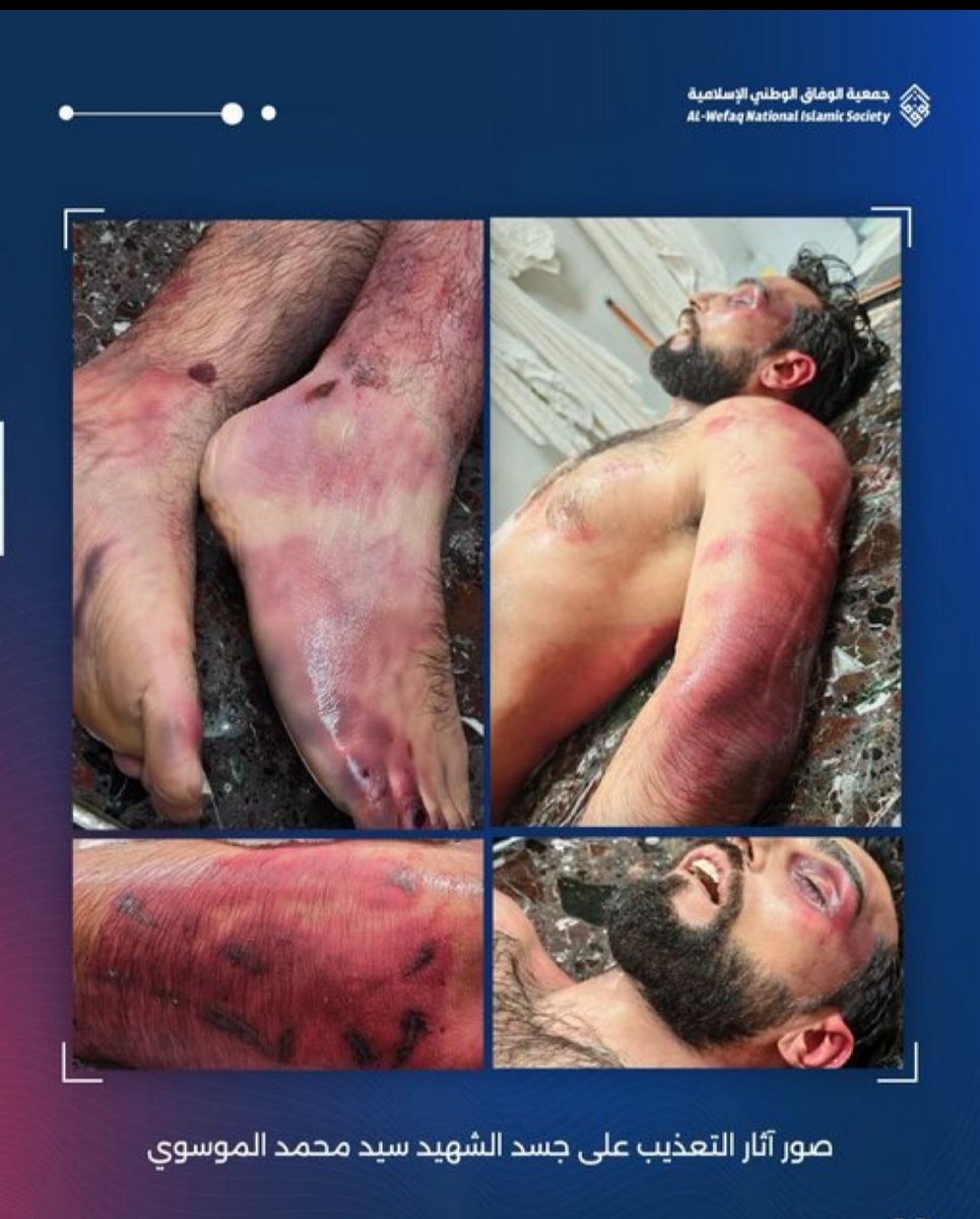 السيد علي الحسيني tweet media