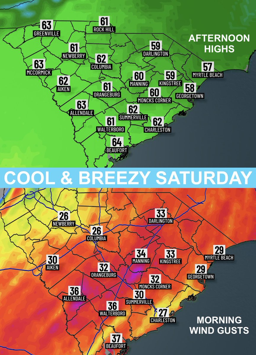 Lexie Horvath tweet media