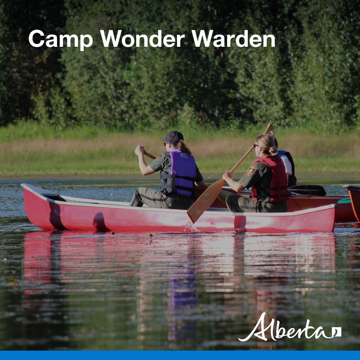 Alberta Fish and Wildlife Enforcement tweet media