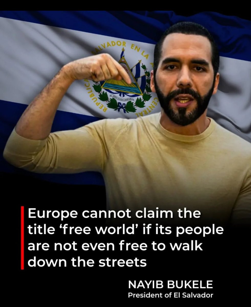 ThePatrioticDog tweet media