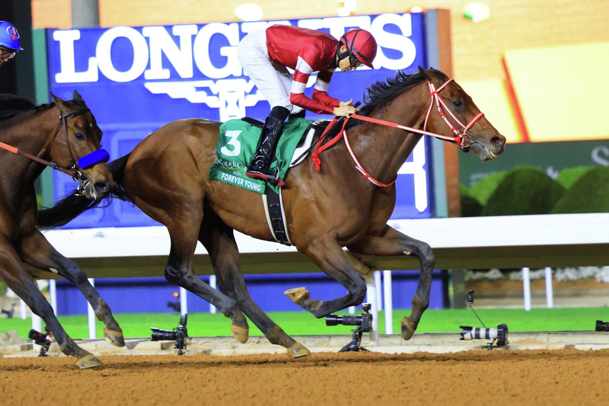 JRA-VAN公式 tweet media