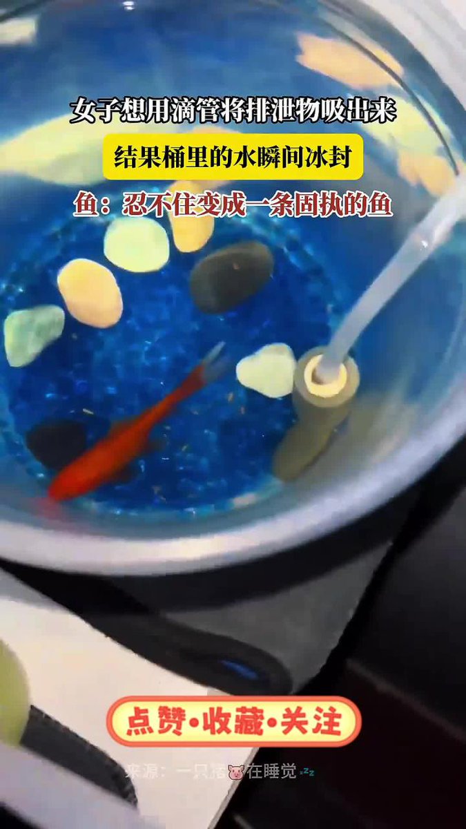 Mitz Clémentine tweet media