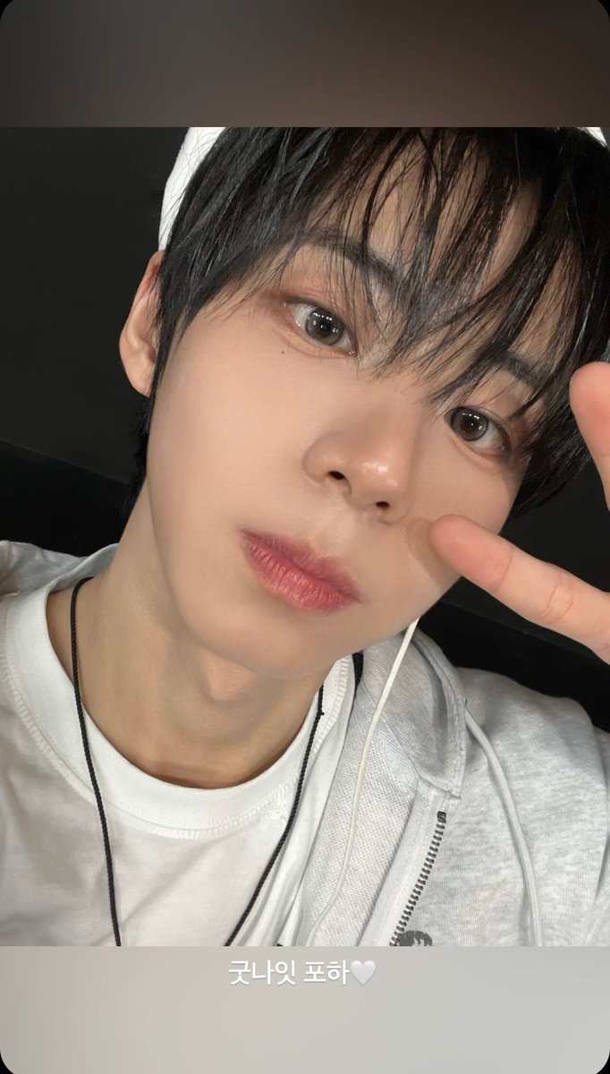 본🍊ꔷ̑ɞꔷ̑🌱🚀 tweet media