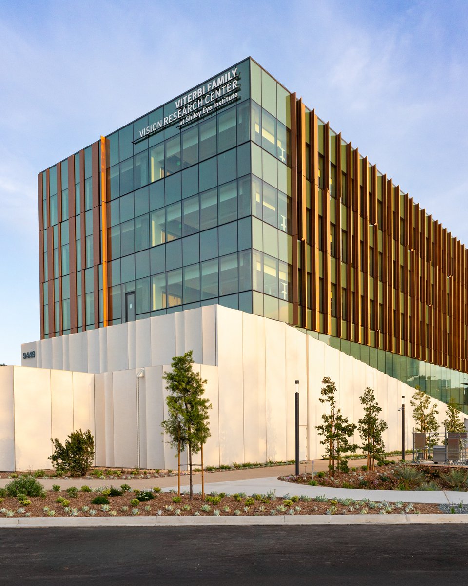 Shiley Eye Institute tweet media