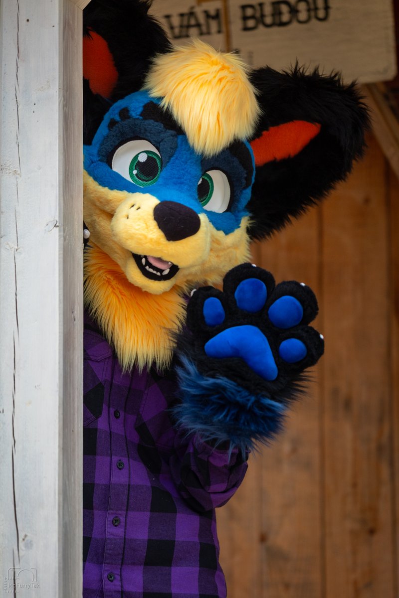 OggyOsbourne's tweet photo. Say hi to the paw
Happy #FursuitFriday ✨

📸 @McFurryTek https://t.co/XU2Q7pzVe4