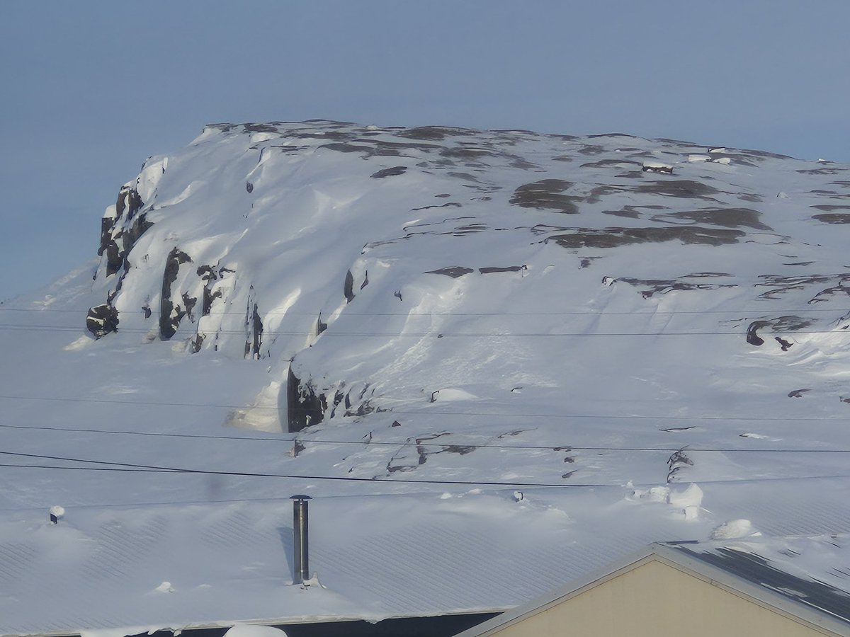 Andrew Staples tweet media