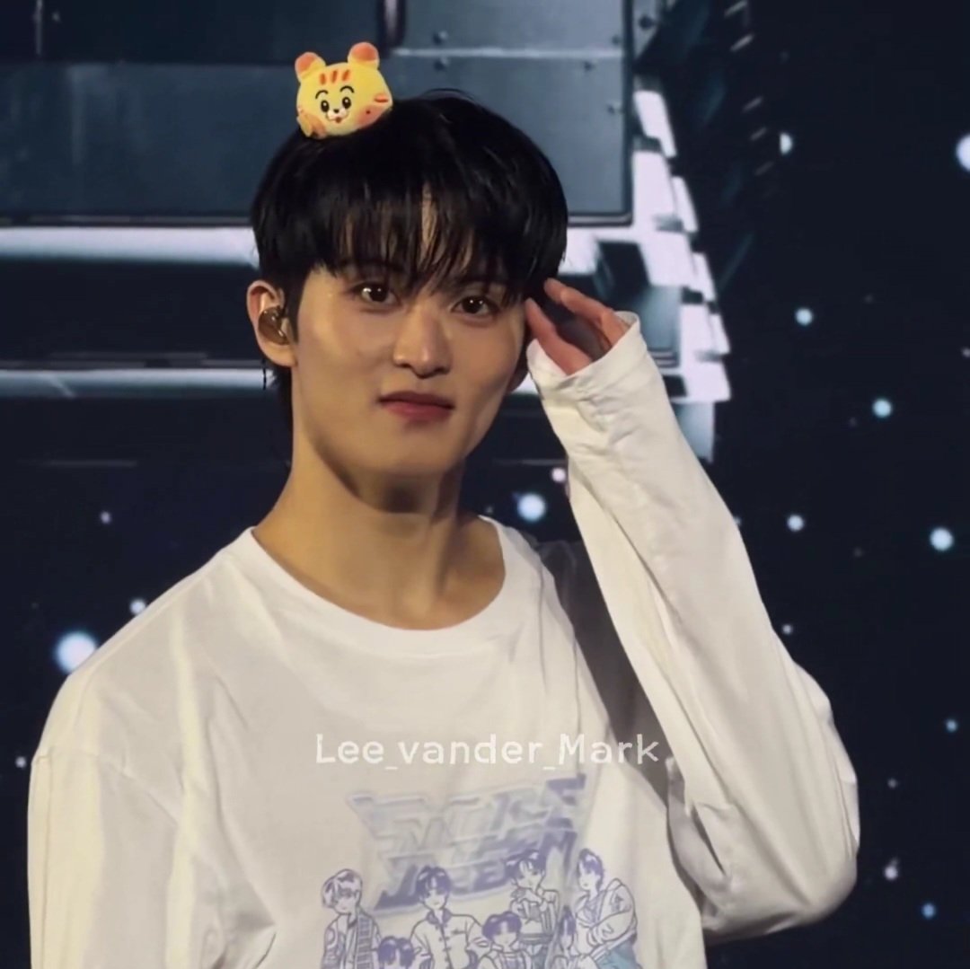 솔직히❛ᴗ❛ tweet media