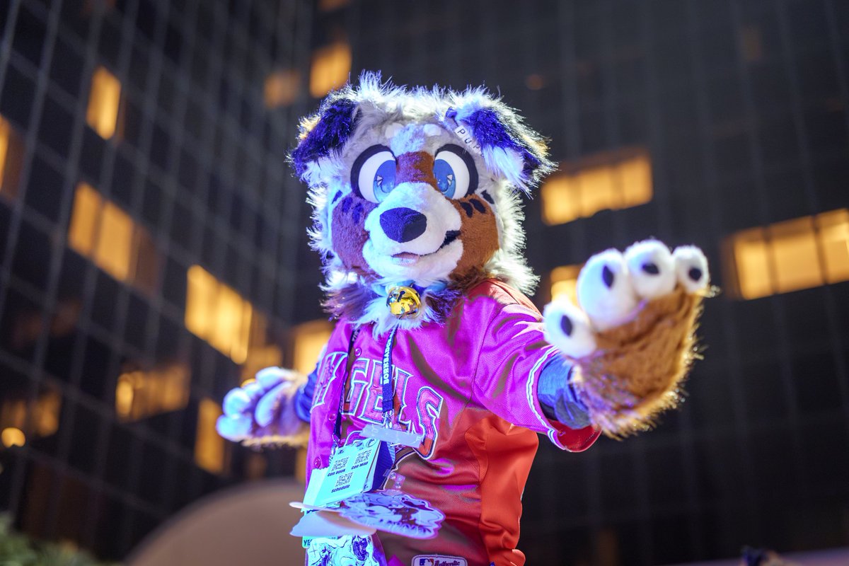 Norfolker 🔜 LVFC! tweet media