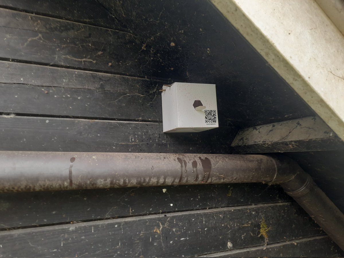 Seed Doubt tweet media