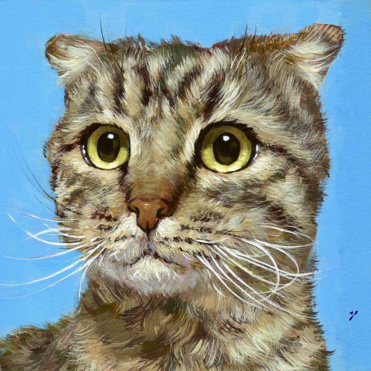 stepanislav 🇺🇦🏳️‍🌈 tweet media