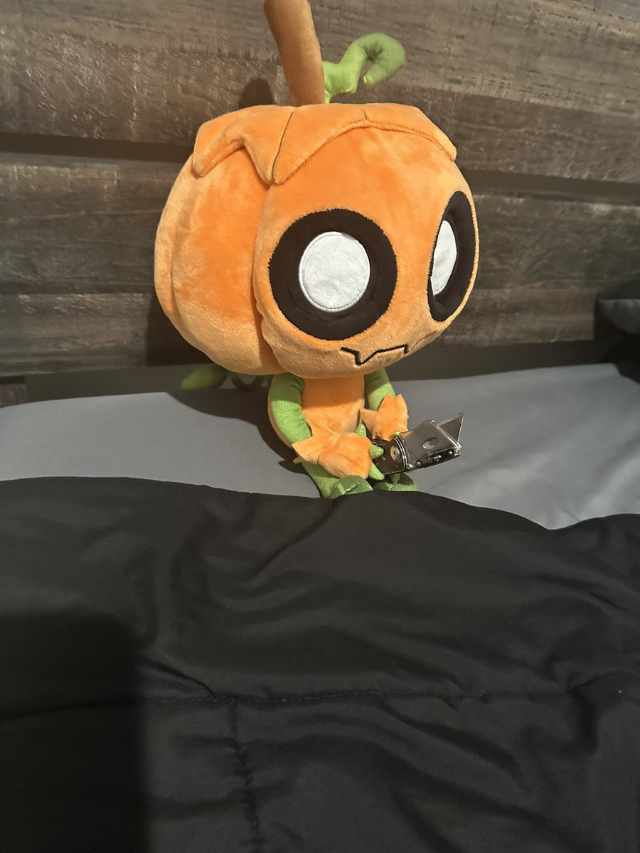 Gourdy Hollowway tweet media