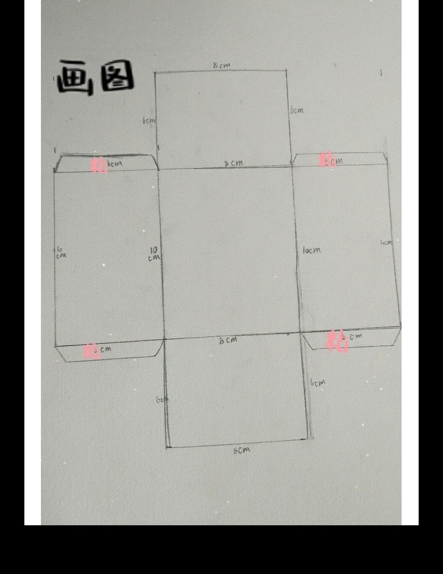 yanina tweet media