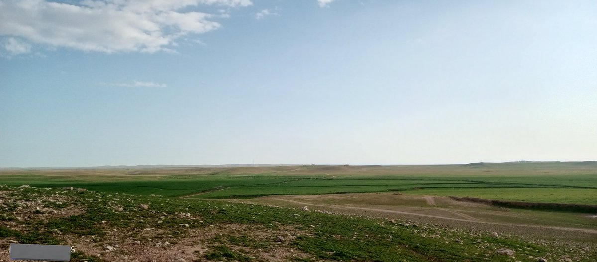 مِشْعَل العنزي🌿 tweet media