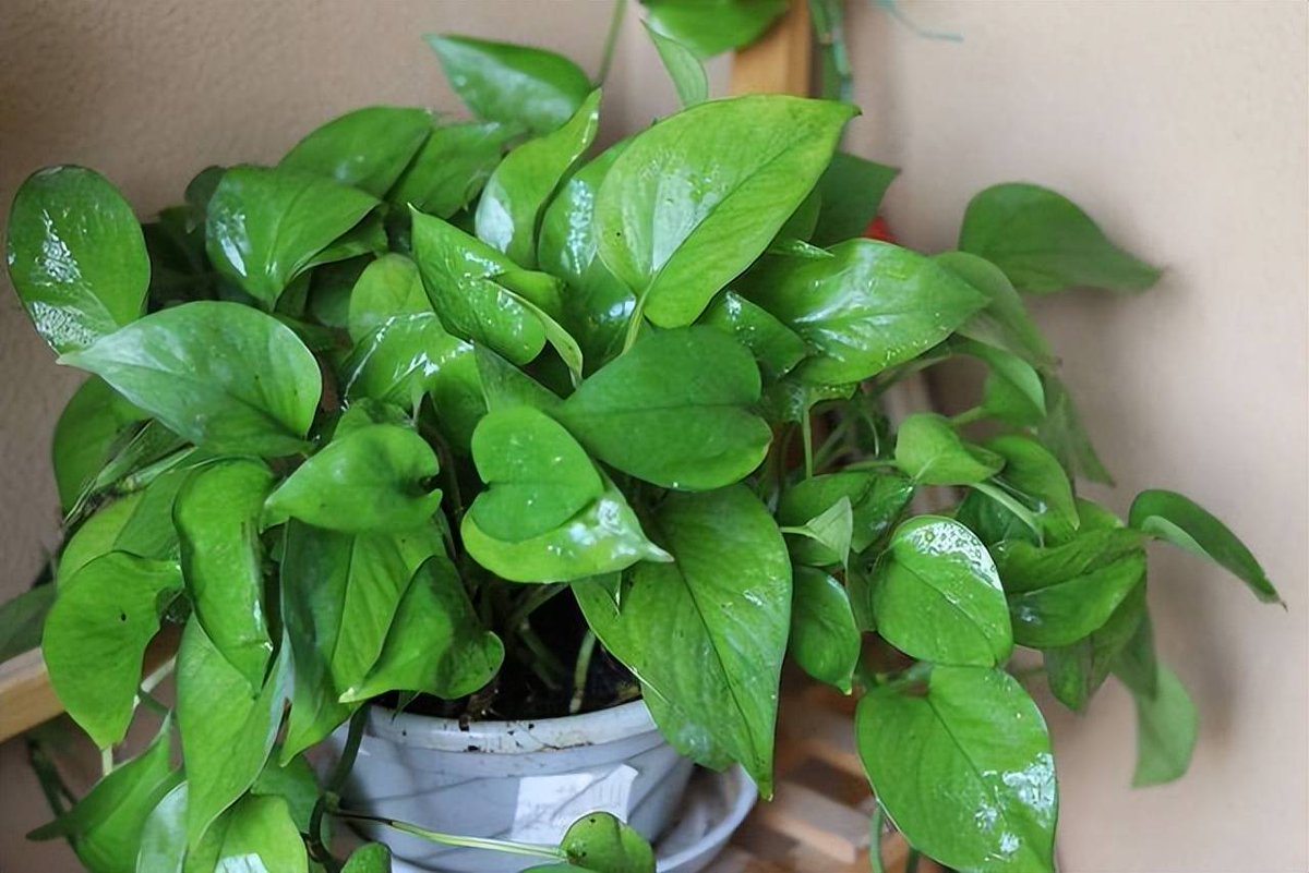 Pam Schroeder tweet media