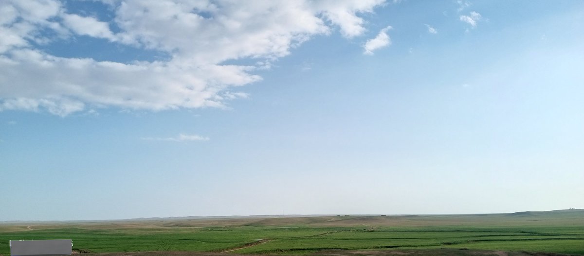 مِشْعَل العنزي🌿 tweet media